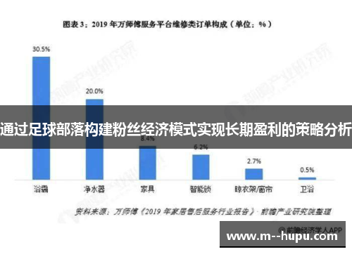 通过足球部落构建粉丝经济模式实现长期盈利的策略分析