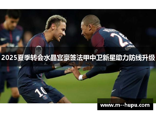 2025夏季转会水晶宫豪签法甲中卫新星助力防线升级