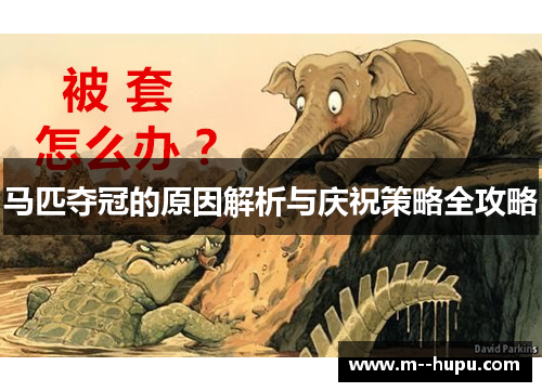 马匹夺冠的原因解析与庆祝策略全攻略