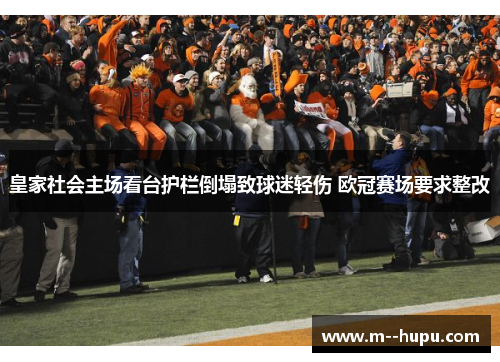 皇家社会主场看台护栏倒塌致球迷轻伤 欧冠赛场要求整改